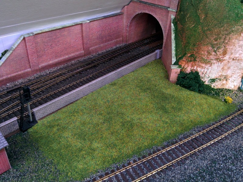 Tunnel Grass